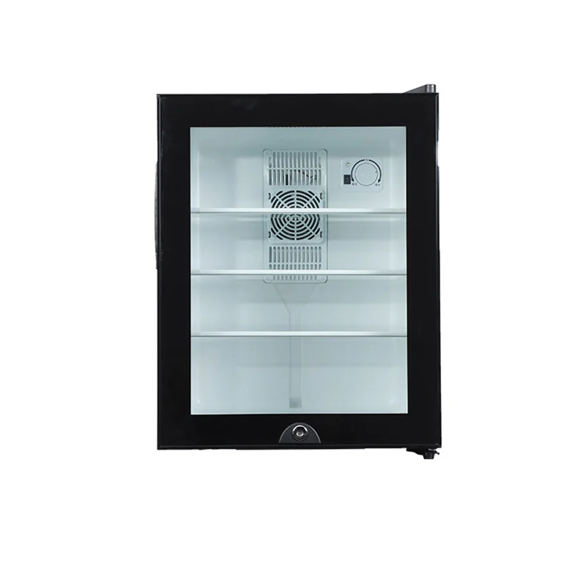 Mini réfrigérateur 40L, porte  - Wine Beer Cooler Fridge avis et prix